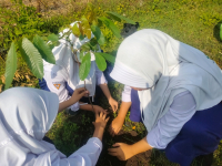 MTsN 9 JOMBANG SUKSESKAN  GERAKAN PENANAMAN 1 JUTA POHON MATOA